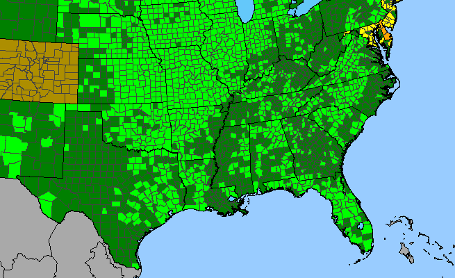 The range of Asclepias verticillata